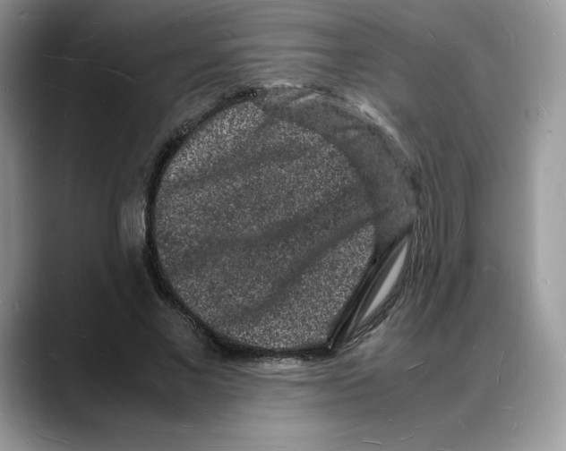 X0000088030685200706081502