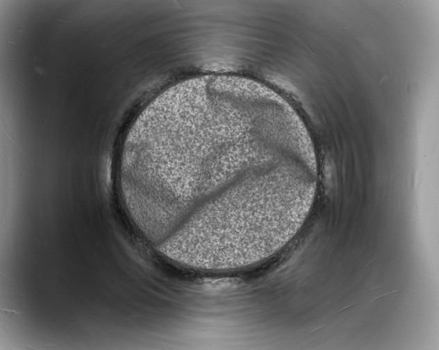 X0000088030686200706081502