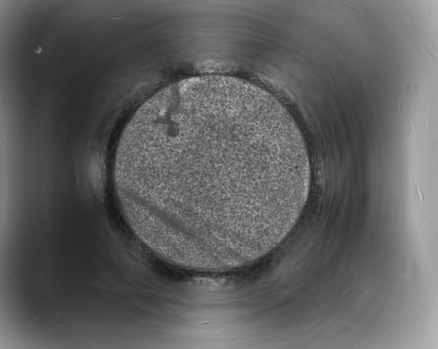 X0000088030690200706081502