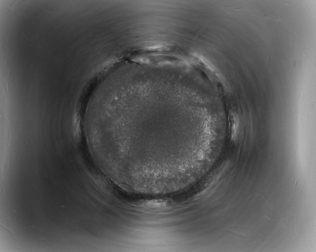 X0000088030692200706081502