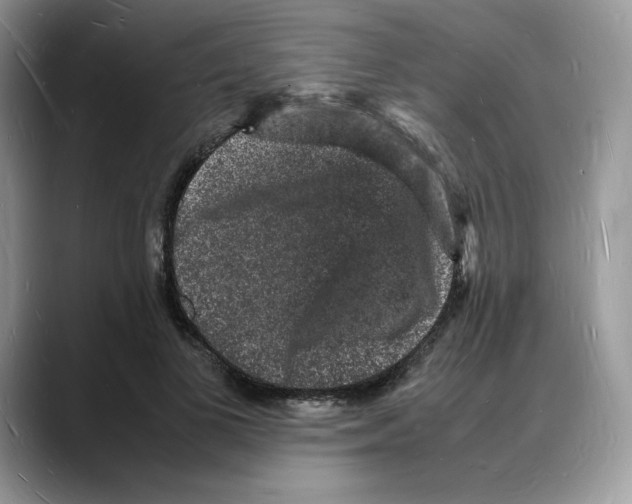 X0000088030693200706081502