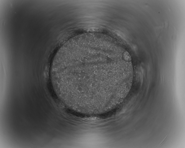 X0000088030695200706081502