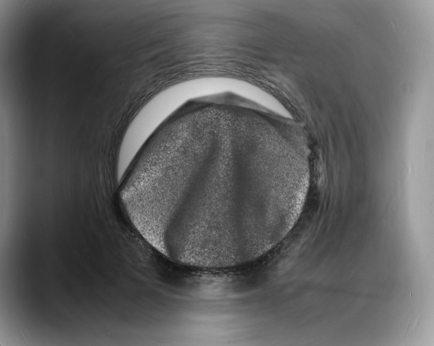 X0000088030697200706081502