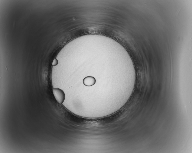 X0000088030698200706081502