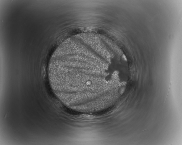 X0000088030699200706081502