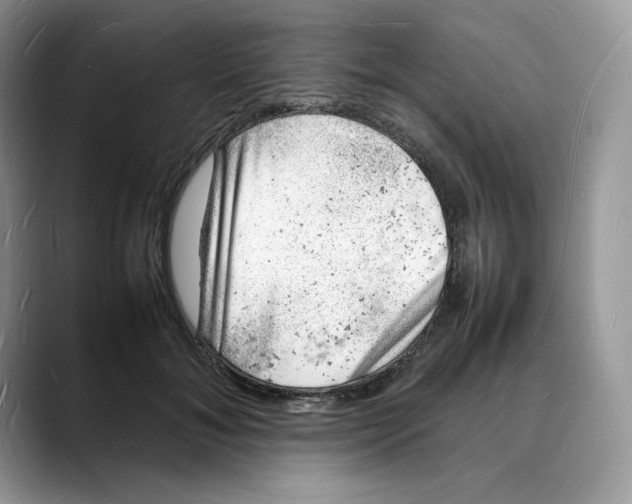 X0000088030700200706081501