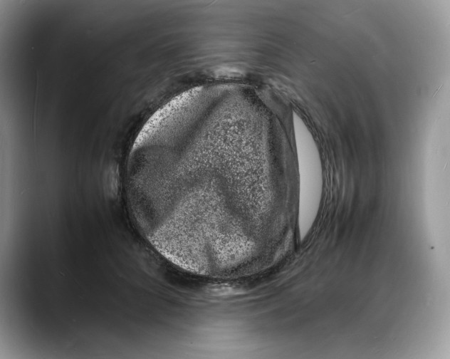 X0000088030704200706081501