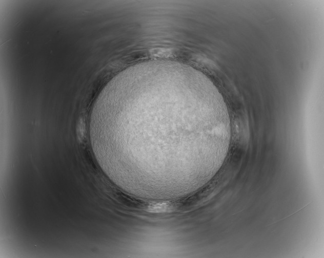 X0000088030705200706081501