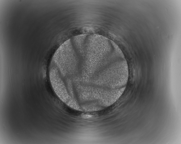 X0000088030706200706081501