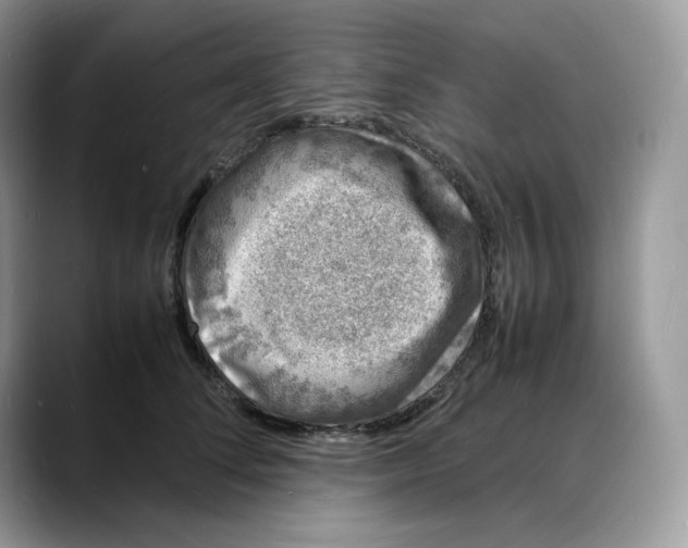 X0000088030708200706081501
