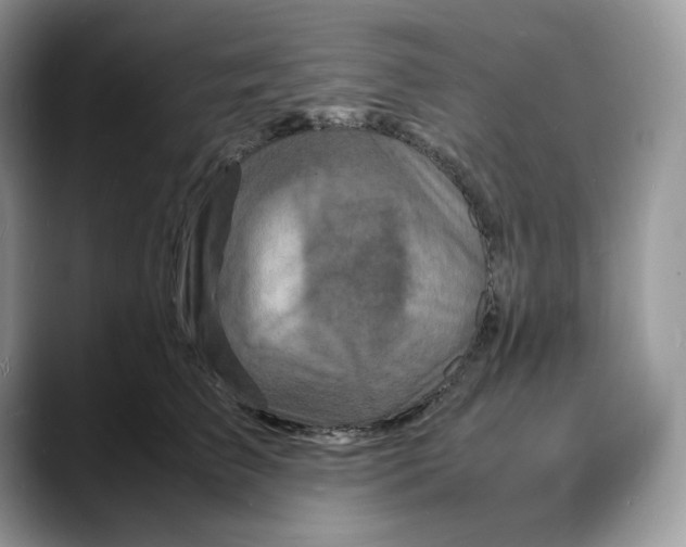 X0000088030709200706081501