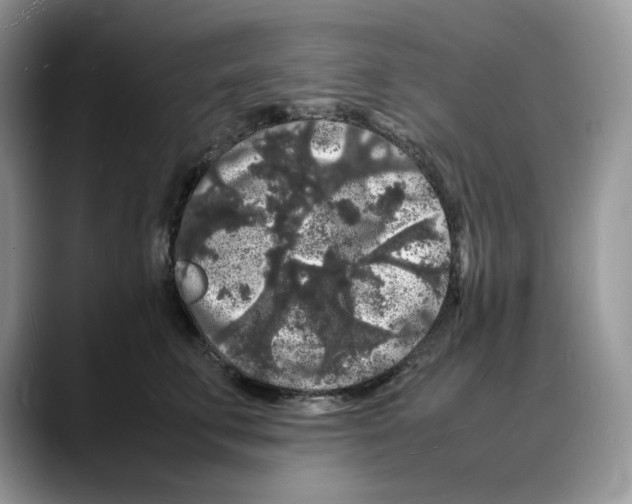 X0000088030711200706081501