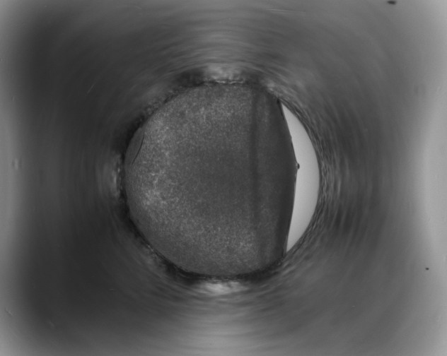 X0000088030712200706081501