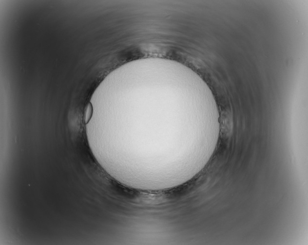 X0000088030713200706081501