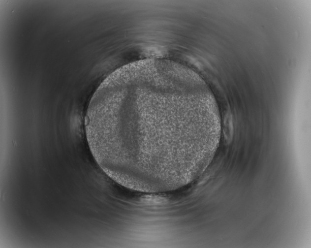 X0000088030714200706081501