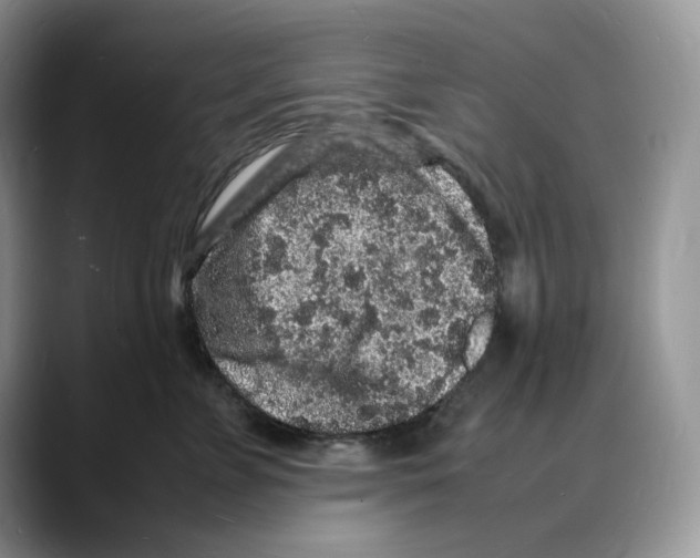 X0000088030715200706081501