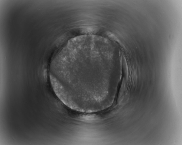 X0000088030716200706081501