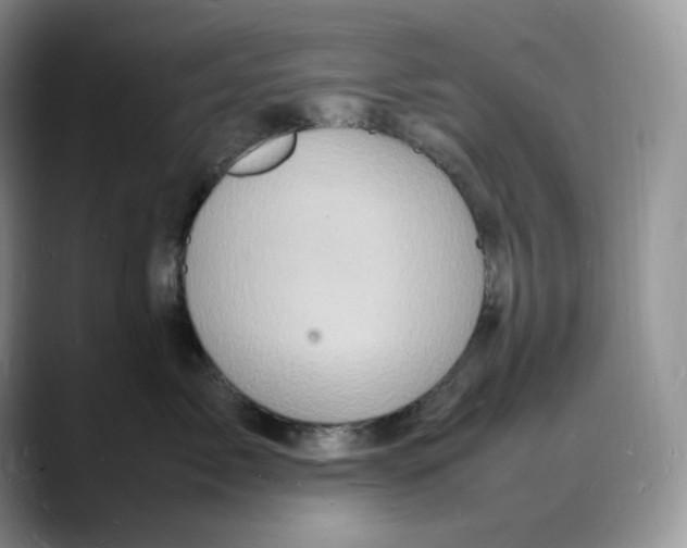 X0000088030717200706081501