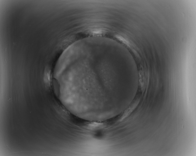 X0000088030718200706081501