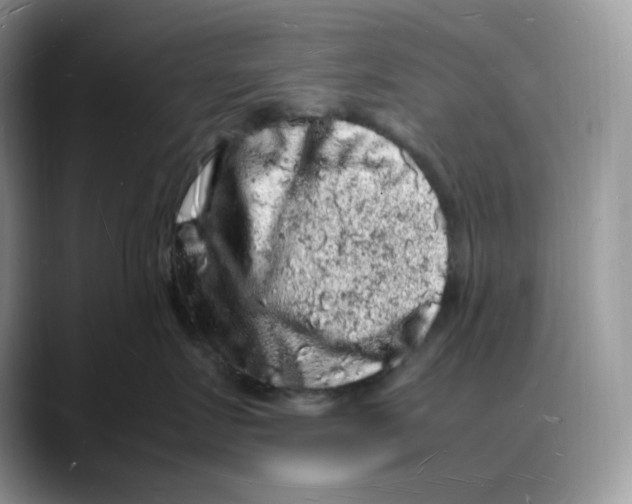 X0000088030719200706081501