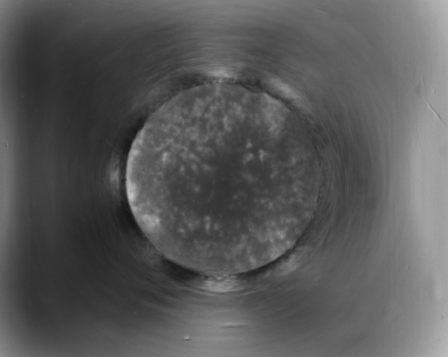 X0000088030720200706081501