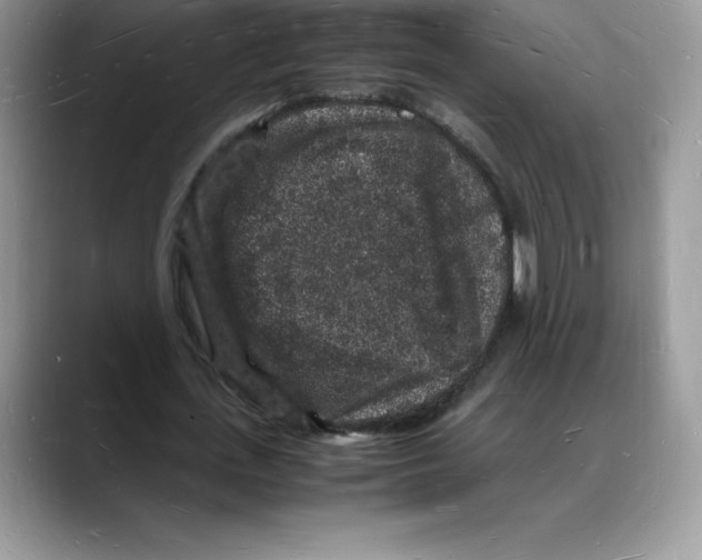 X0000088030723200706081501