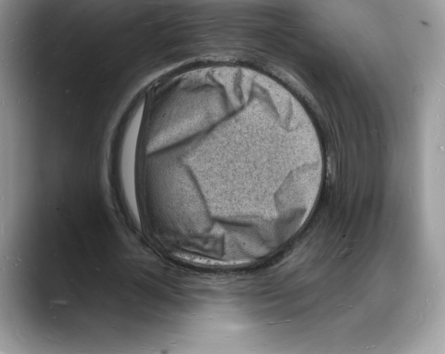 X0000088030724200706081501