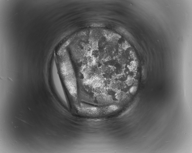 X0000088030725200706081501