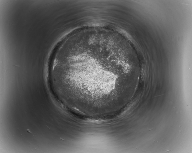 X0000088030726200706081501