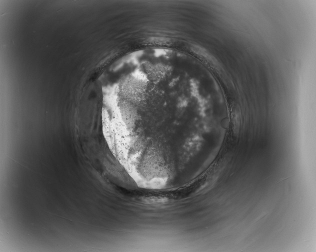 X0000088030729200706081501