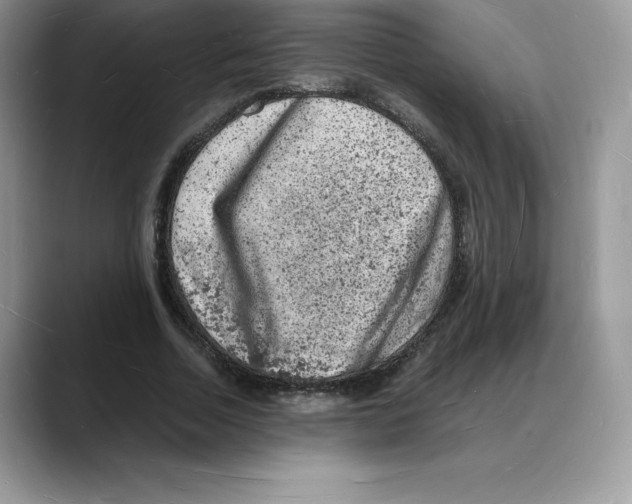 X0000088030730200706081501