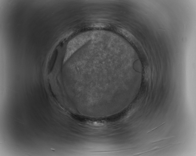 X0000088030731200706081501