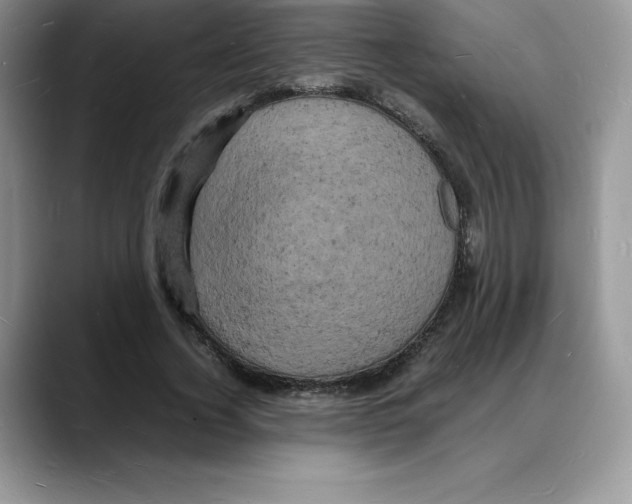 X0000088030732200706081501
