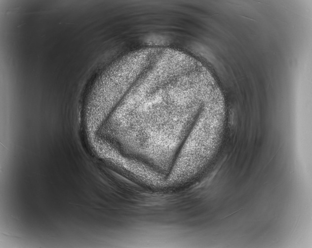 X0000088030733200706081501