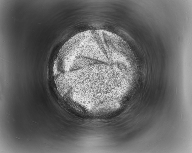 X0000088030734200706081501