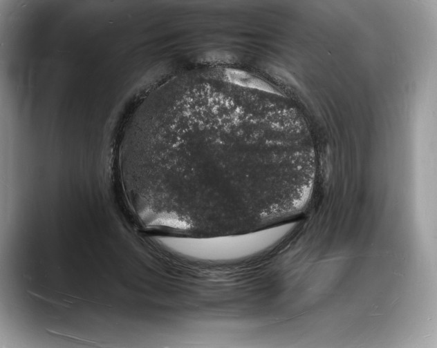 X0000088030735200706081501