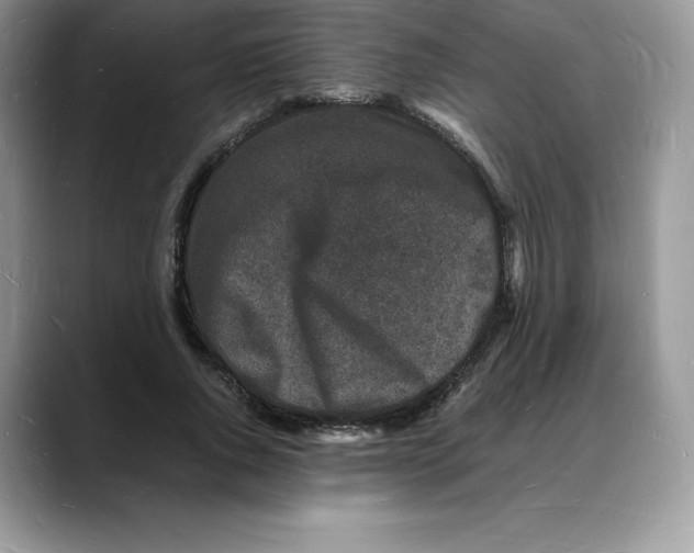 X0000088030736200706081501