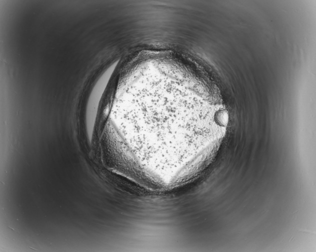 X0000088030738200706081501