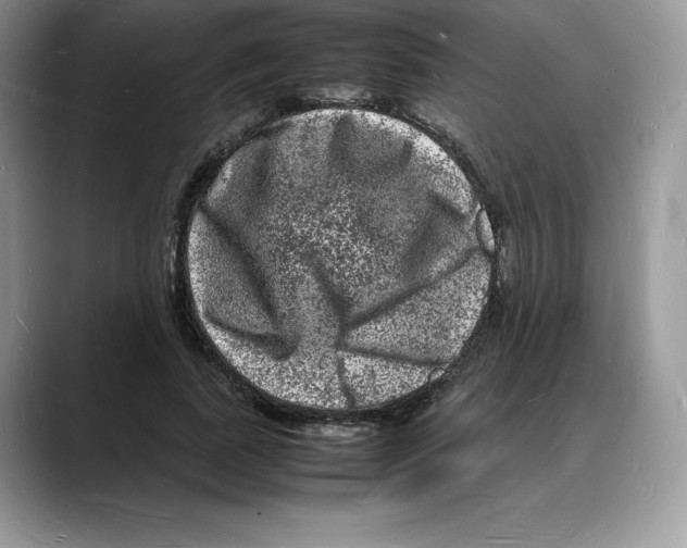 X0000088030739200706081501
