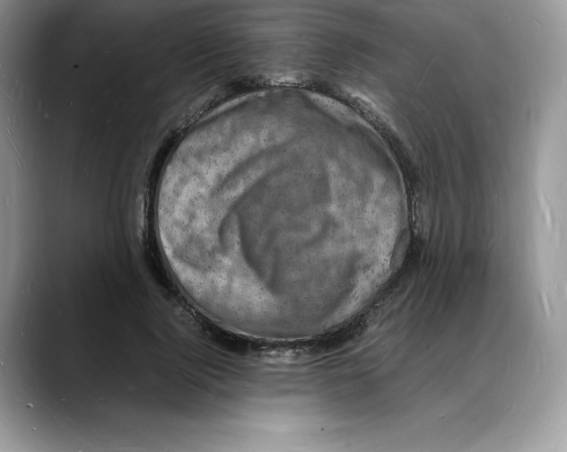 X0000088030740200706081501