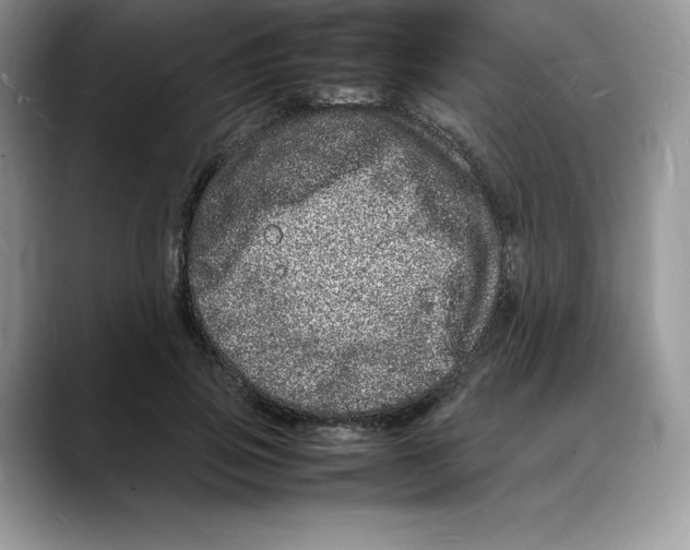 X0000088030741200706081501