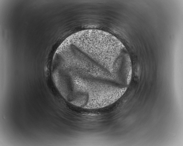 X0000088030743200706081501