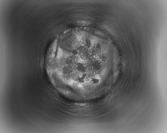 X0000088030745200706081501