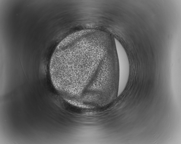 X0000088030746200706081501
