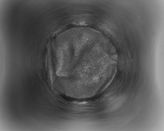 X0000088030747200706081501