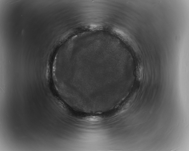 X0000088030748200706081501