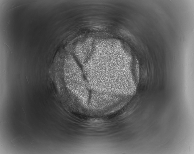 X0000088030749200706081501