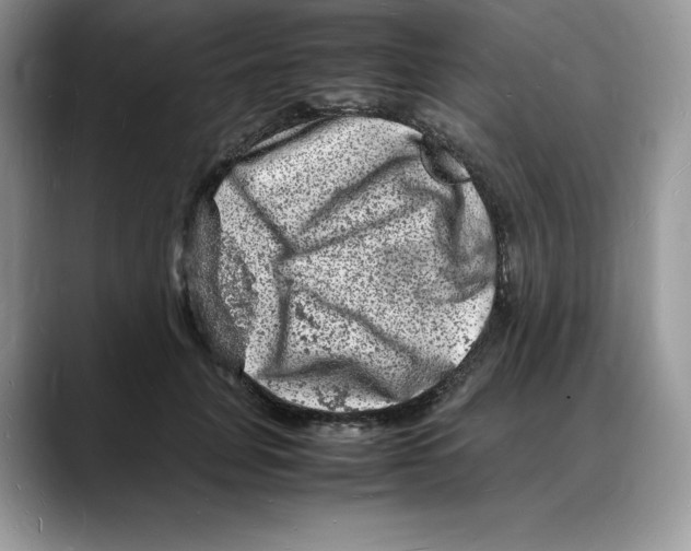 X0000088030751200706081501