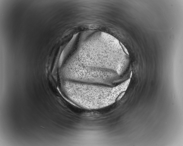 X0000088030752200706081501
