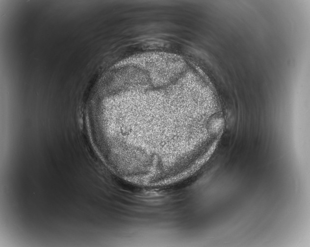 X0000088030753200706081501